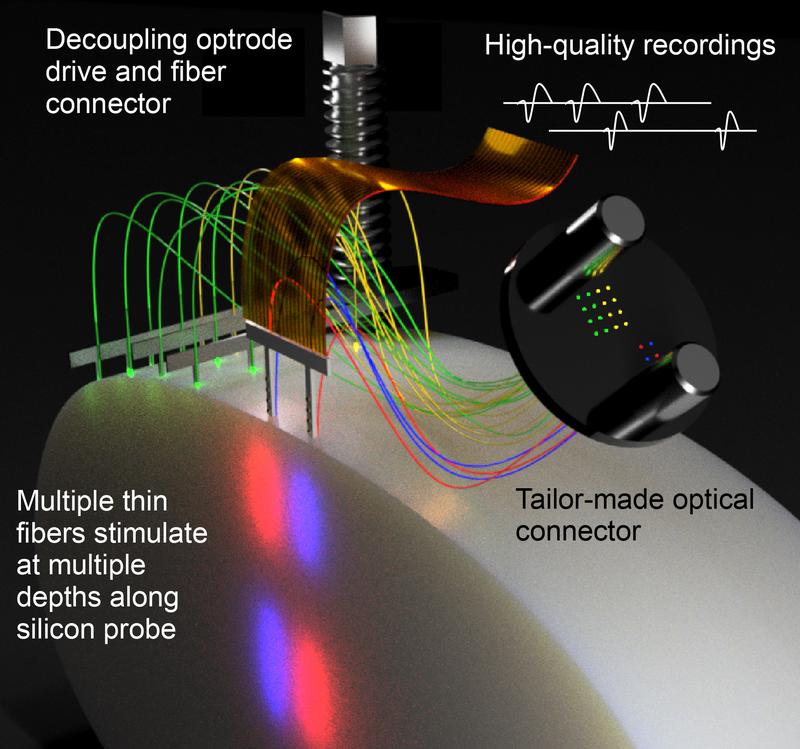 Schema des neuen Fused Fiber Light Emission and eXtracellular Recording (FFLEXR).