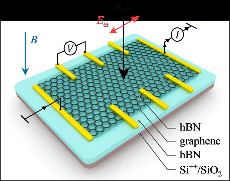 Die Skizze der untersuchten Probe. Graphen in einem senkrecht angelegten Magnetfeld B wird mit Terahertz-Strahlung beleuchtet. Mehrere Metallkontakte (gelb) werden zum Auslesen des Photosignals verwendet. 