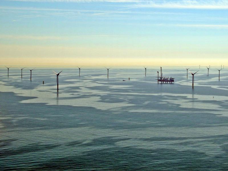 Offshore wind farm in the North Sear [Photo: Hereon/ Sabine Billerbeck]