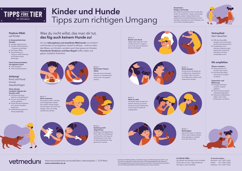 Infografik "Tipps fürs Tier" - Kinder und Hunde/Vetmeduni