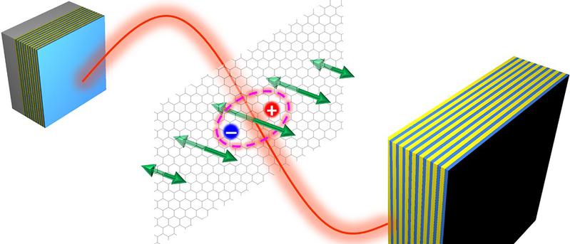 Coupling of phonon (green), exciton (pink), and photon of a microcavity (red) in a 2D material.