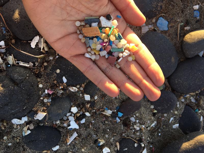 Microplastics and larger fragments recorded at Famara beach in Lanzarote, Spain