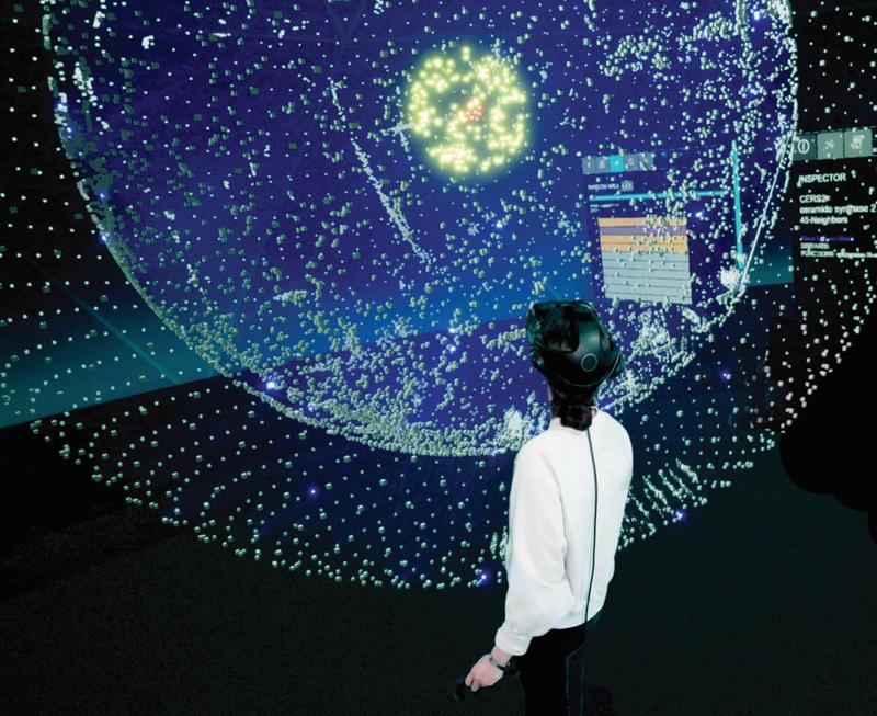 Greenscreen-Aufnahme der visuellen Exploration einer neu entwickelten Netzwerk-Karte mit Fokus auf seltene Erkrankungen mittels Virtual Reality. 