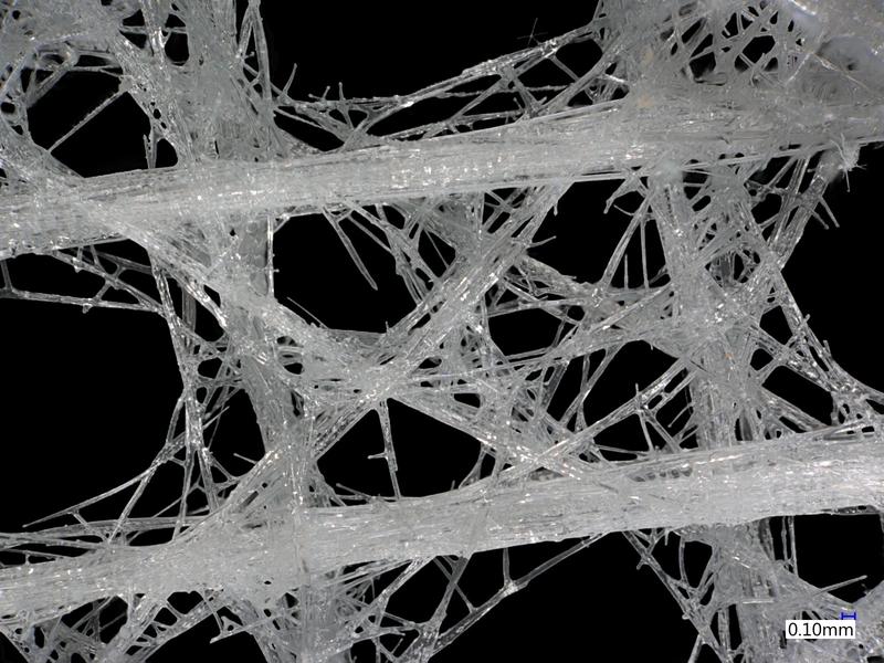 Mikroskopische Abbildung der Fasern eines Glasschwamms der Art Euplectella.