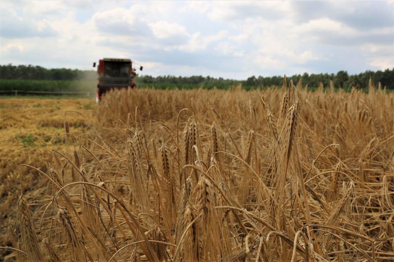 Forschung für eine umweltfreundlichere Landwirtschaft