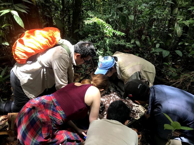 LIB researchers, together with students from Ecuador, study spider diversity in the Amazonian forests. 
