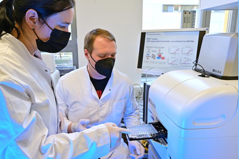 Dr. Julia Drube (left) and Raphael Haider analyze the regulation of G protein-coupled receptors. Using their complex cell system, they can then determine which enzymes are necessary for each individual case.