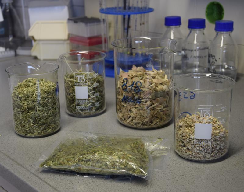  1.	Getreideproben aus der Region werden im Labor analysiert