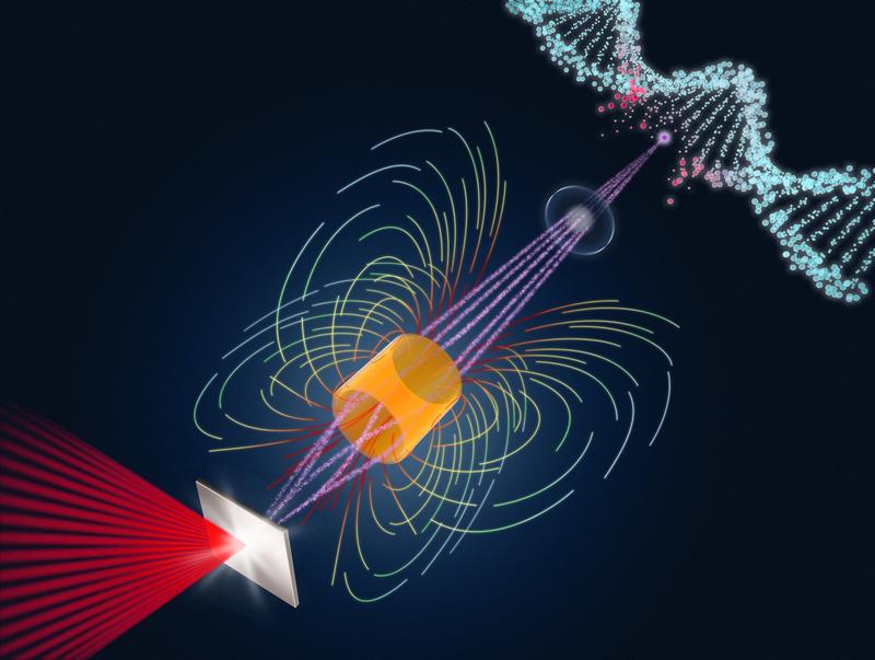 Einem Forschungsteam unter Federführung des Helmholtz-Zentrums Dresden-Rossendorf (HZDR) ist es erstmals gelungen, eine Bestrahlung von Tumoren mit Laser-Protonen erfolgreich im Tiermodell zu testen.