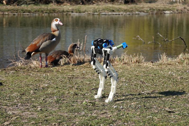 BirdBot in a Stuttgarter based zoo