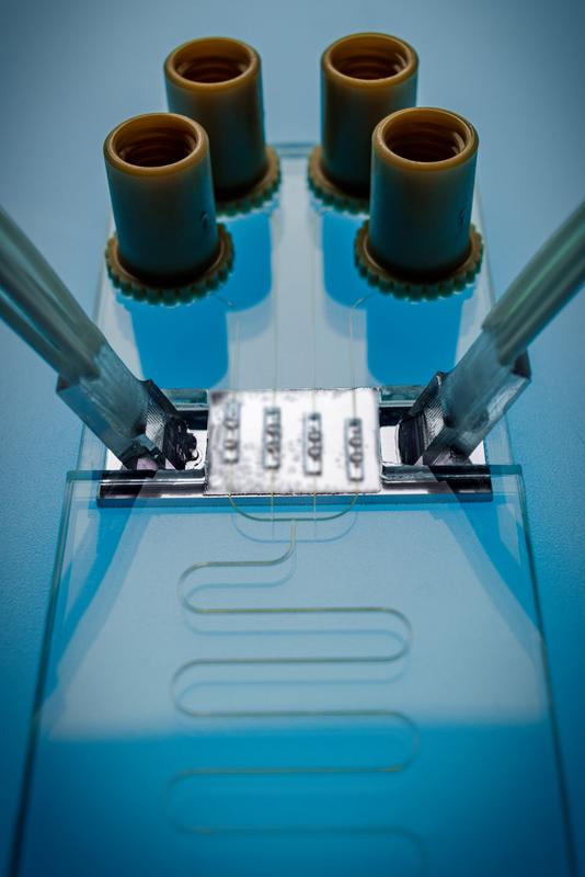 Optofluidic cartridge for detection of cytokines l © Fraunhofer IZM / Volker Mai 