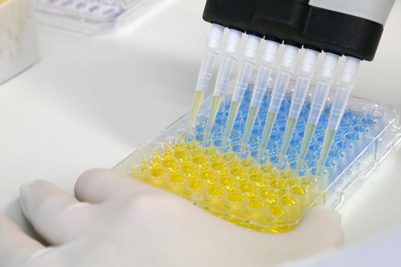 Am IfADo entwickeltes Testsystem (enzyme-linked immunosorbent assay (ELISA)) zum Nachweis von Coronavirus-Antikörpern.