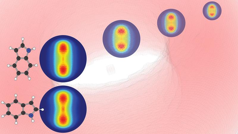 Neben der Struktur des Biomoleküls Indol in zwei ausgewählten Ausrichtungen (links) sieht man die Messsignale, die anzeigen, dass diese Moleküle ideal ausgerichtet sind. Im Verlauf nach rechts sieht man den zeitlichen Verlauf der Molekülausrichtung