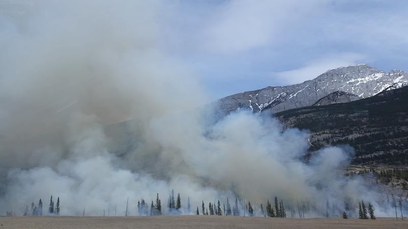 Researchers from Tianjin University, China, and the Max Planck Institute for Chemistry, Mainz, Germany, expect an increasing importance of brown carbon in the warming of the circum-arctic in the future.