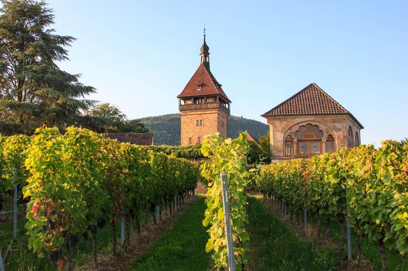 Blick auf den JKI-Standort Geilweilerhof in Siebeldingen an dem die Rebenzüchter und Rebschützer forschen.