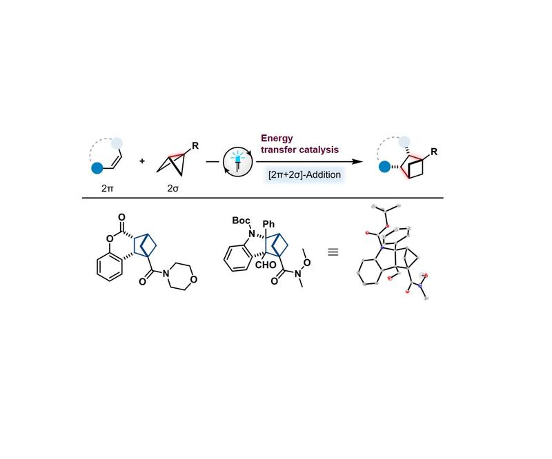 The new unconventional photocycloaddition; top: schematic representation of the reaction equation with a "butterfly-like" starting compound (2σ); bottom: structures of two reaction products (far right as 3D representation/crystal structure analysis). 