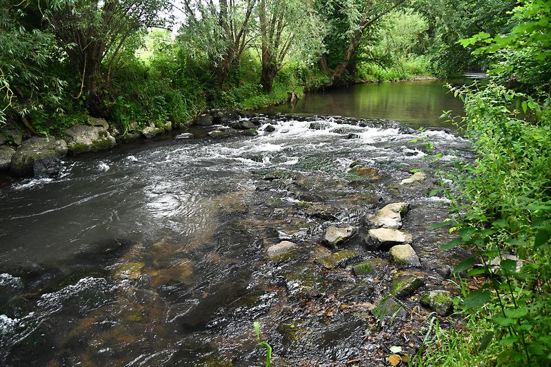 Naturnahe unstrukturierte Sohlengleite in der Ilme bei Einbeck.