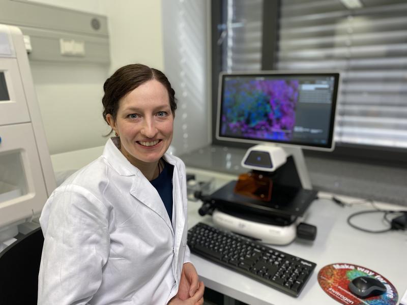 Angela Riedel fand mit ihrem Team am Mildred-Scheel-Nachwuchszentrum Würzburg heraus, dass die Milchsäure, die ein Tumor bei der Glykolyse ausschüttet, die nachgeschalteten Lymphknoten reprogrammiert und die Immunabwehr blockiert. 