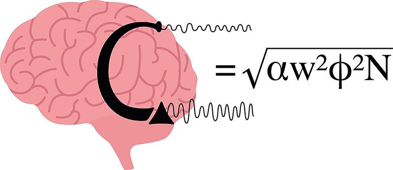 Die interareale Kohärenz skaliert mit der Schwingungsstärke des Senders (alpha), der Verbindungsstärke (w), der Synchronisation der Neuronen in der Senderegion (phi) und der Anzahl der projizierenden Neuronen (N)