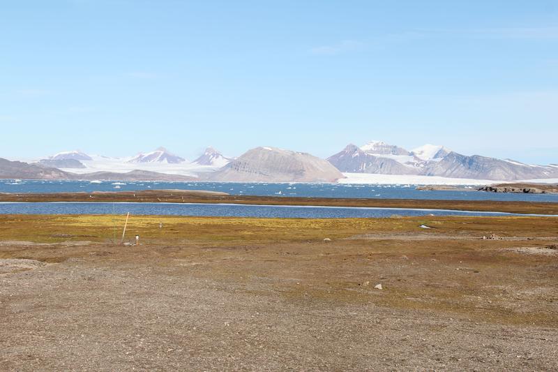 Forschungsbasis in der Arktis 