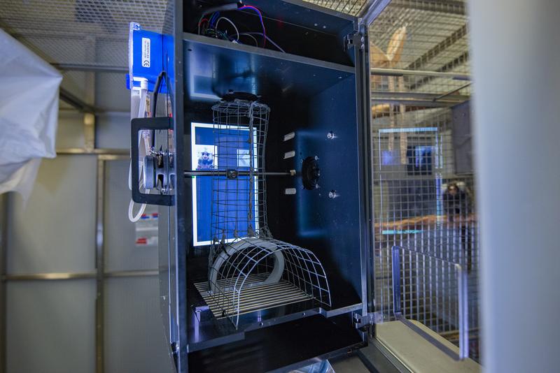 Attached to the cage this training device allows automatic unsupervised auditory training and testing of common marmosets directly in their own cage. The mesh tunnel allows testing one animal at a time. 