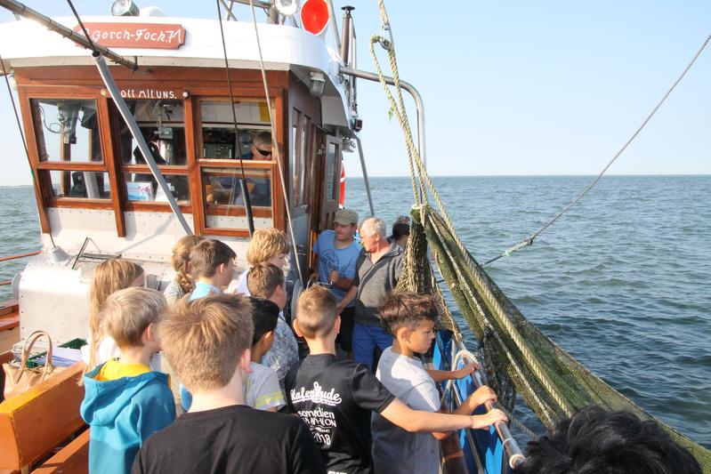 Außerschulischer Lernort: Fischwirtschaft an der niedersächsischen Nordseeküste.