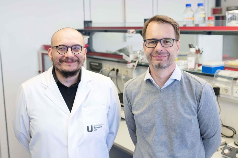 Prof. Manfred Frick (rechts) ist Seniorautor der jetzt erschienenen Nature-Publikation. Zu den Forschungsarbeiten in Ulm hat auch Dr. Giorgio Fois (links) maßgeblich beigetragen