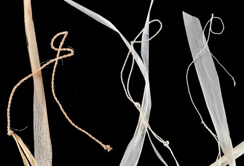 Lindenbast: Die Qualität der Bastschichten und der daraus hergestellten Spleißfäden hängt von ihrer Nähe zum Holz eines Baumes ab. Das Spinnen erwies sich als langwierig und schwierig, das Spleißen war kein Problem. Foto: LAD/YAM
