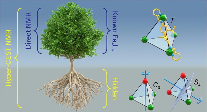 Hyper-CEST as ultra-sensitive NMR spectroscopy tool reveals two previously "hidden" structures of metal-organic cages.