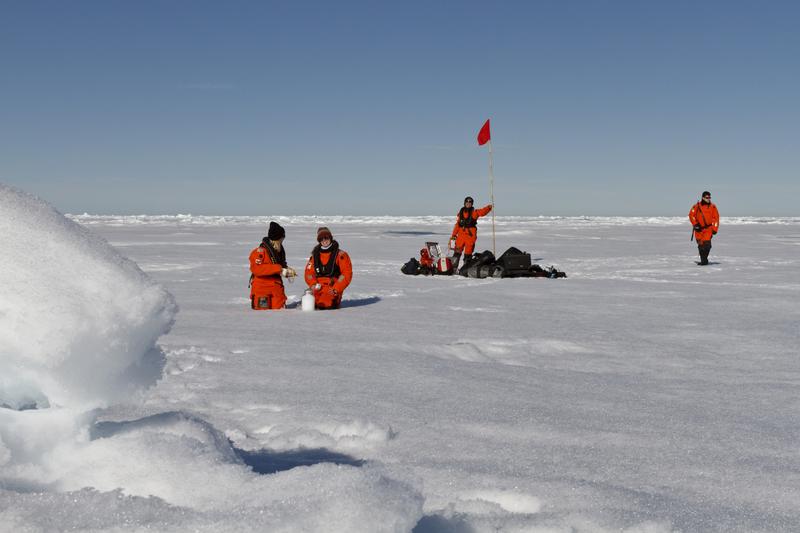 Sampling Arctic sea ice