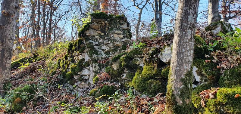 Stein oder Mauerüberrest? Manchmal gar nicht so leicht zu erkennen. Hier handelt es sich aber eindeutig um die Überreste der Burg Hohengenkingen. 