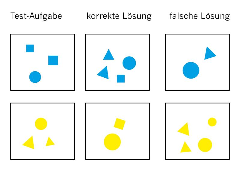 Beispiel für zwei Testaufgaben: Die Tiere schwammen nach dem erfolgreichen Training meist zu der korrekten Lösung. 