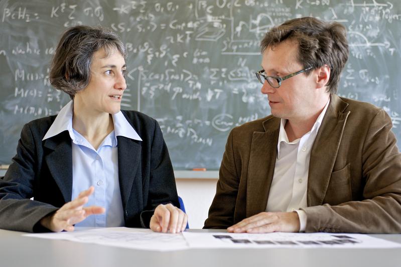 Laura Heyderman und Peter Derlet untersuchen magnetische Phasenübergänge in der Materie.