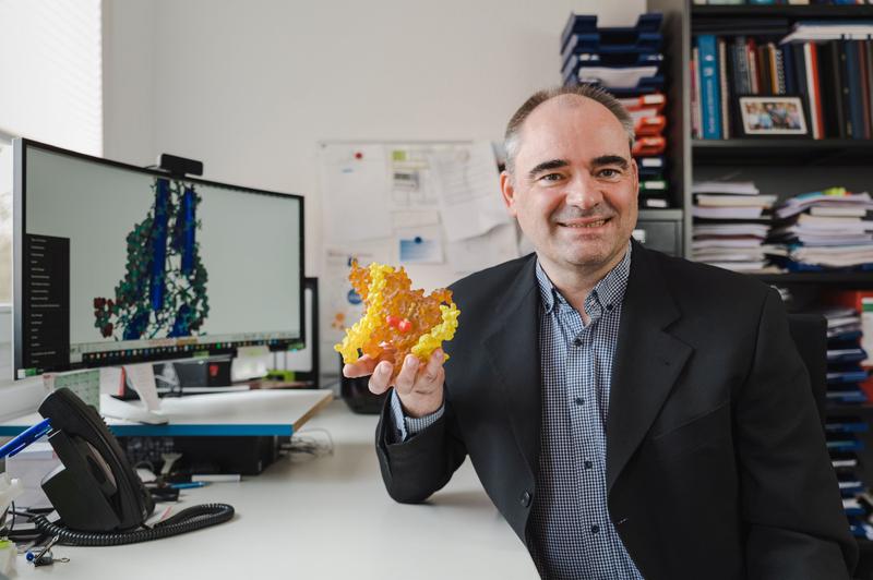 Prof. Dr. Guiscard Seebohm zeigt ein 3D-Modell des Ionenkanals Kv7.1/KCNE1.