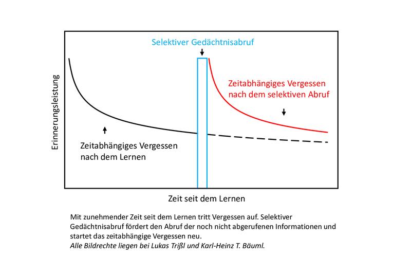 Mit zunehmender Zeit seit dem Lernen tritt Vergessen auf. Selektiver Gedächtnisabruf fördert den Abruf der noch nicht abgerufenen Informationen und startet das zeitabhängige Vergessen neu. 