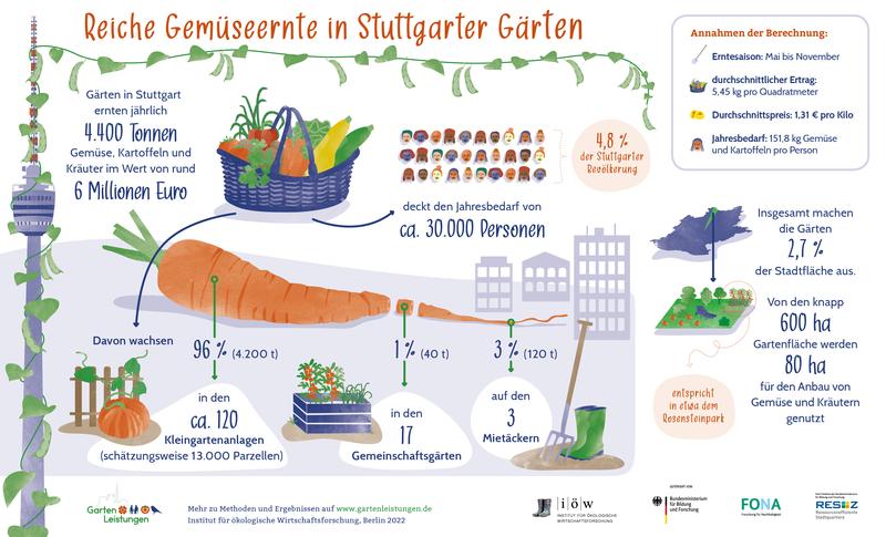 Wie viel Gemüse produzieren Stuttgarter Gärten? 