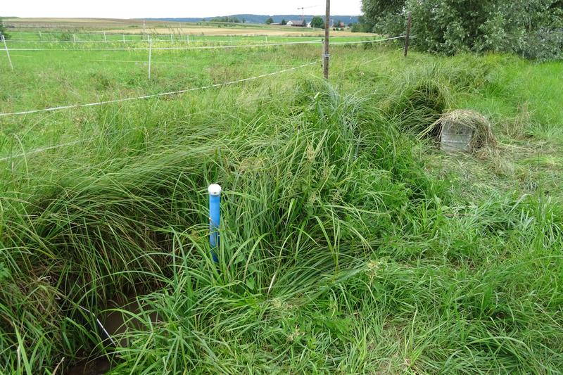 Groundwater monitoring well in the Schönbrunnen, the stream near Tübingen investigated in the study.