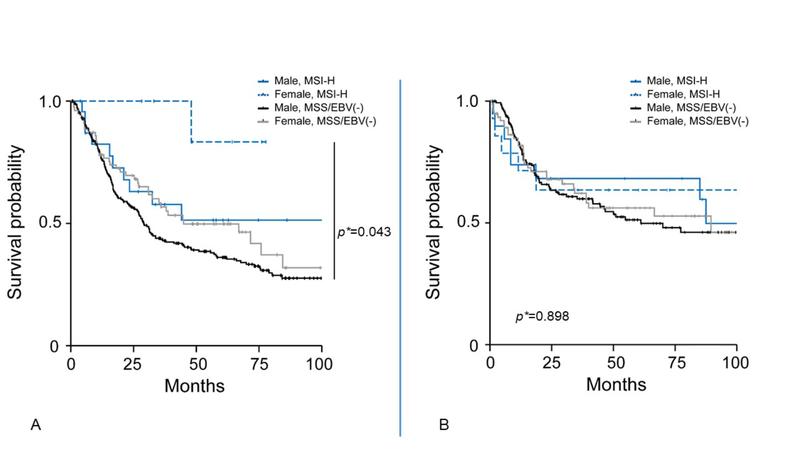 Klinischer Verlauf von Frauen und Männern mit und ohne MSI im Magenkarzinom: A) nach und B) ohne Behandlung mit Chemotherapie. (MSI-H: hohe Mikrosatelliteninstabilität; MSS: Mikrosatelliten-stabil; EBV (-): Epstein Barr Virus negativ)