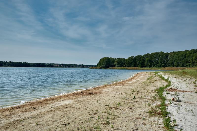 Sommerliche Wasserknappheit am Großen Seddiner See in Brandenburg