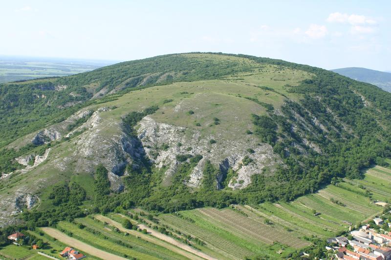 Die Hundsheimer Berge an der Grenze zwischen Niederösterreich und Wien. Wald etabliert sich nur dort, wo es die Bodenauflage zulässt. Das kontinental geprägte pannonische Klima fördert die Ausbildung artenreicher Steppenrasen. 