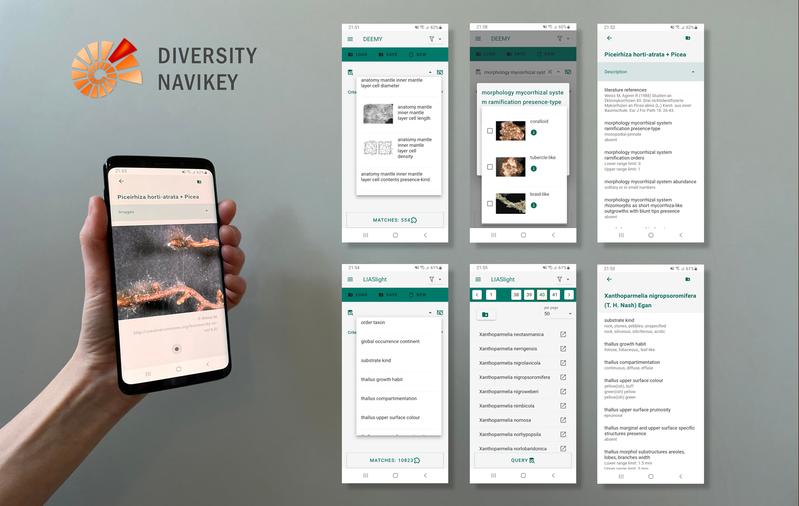The freely accessible software application DiversityNaviKey (DNK) is a generic tool primarily designed for identification of organisms. 
