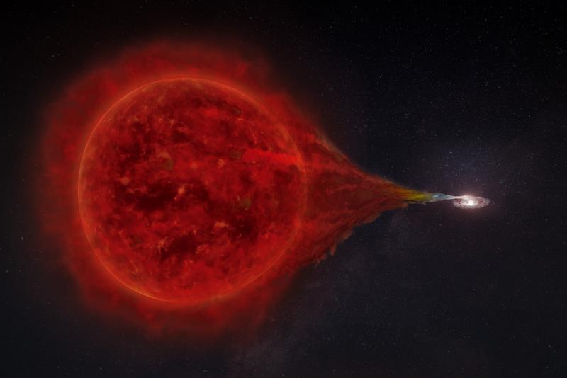 Das Doppelstern-System RS Ophiuchi: Vom roten Riesen strömt Materie auf den weißen Zwerg. Die neu hinzugekommenen Sternhüllen explodieren etwa alle 15 Jahre in einer hellen Nova.