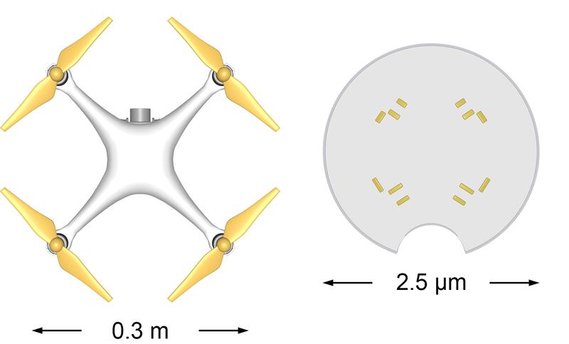 Größenvergleich zwischen Quadrocopter und Mikrodrohne.
