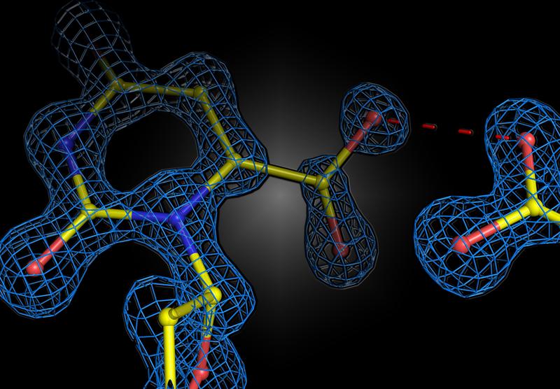 Struktureller Schnappschuss der enzymatischen Reaktion im humanen Enzym Orotidin-5‘-phosphat Decarboxylase. Die beiden negativen Ladungen des Substrats und Enzyms stoßen sich nicht ab, sondern gehen eine attraktive Wechselwirkung ein.