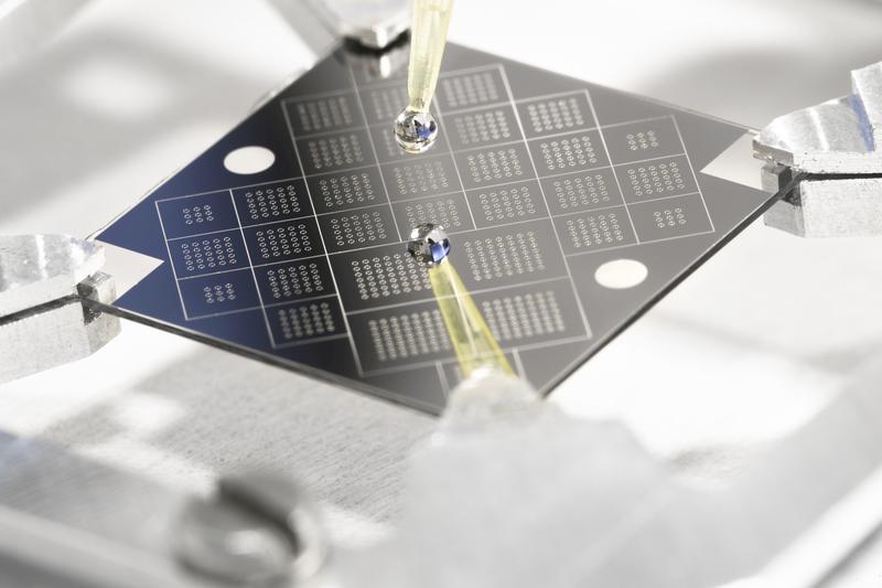 Die in Siegen entwickelten Biochips sind nur 2,2 Quadratzentimeter groß und bestehen aus einem Glasträger, der mit Gold und Chrom beschichtet ist. 
