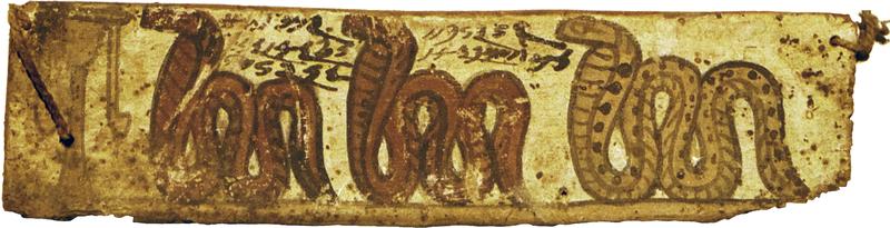 Teil eines meroitischen Textes. Die Bedeutung der drei Schlangen lässt sich nicht genau einordnen. 