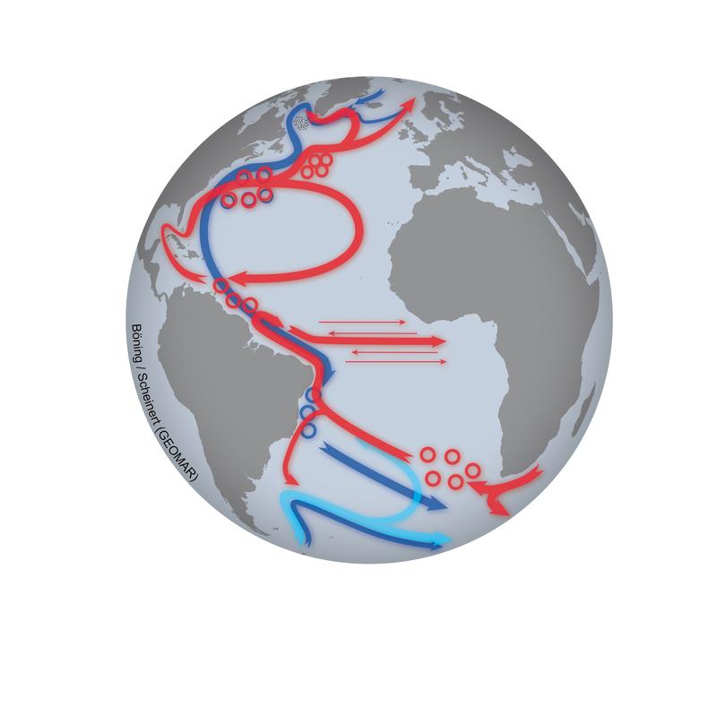 Die Atlantische Meridionalzirkulation: Warme (oberflächennahe) Strömungen sind in rot dargestellt, kalte Tiefenströmungen in blau.
