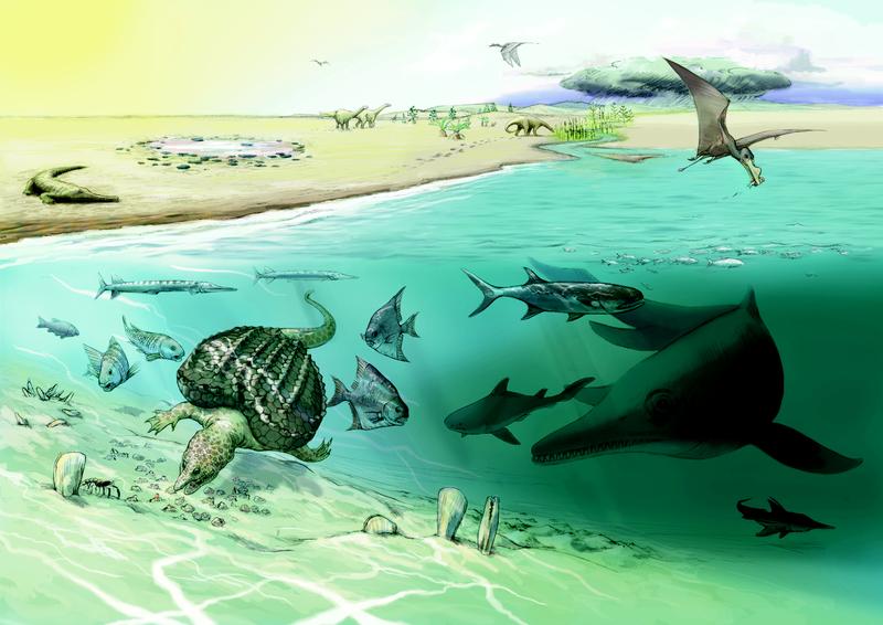 200 million year old deposits of the precursor of the Mediterranean Sea have been preserved in the Swiss High Alps. Whale-sized ichthyosaurs came from the open sea only occasionally into shallower water.