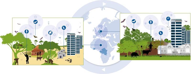 Modellregionen der One Health-Surveillance