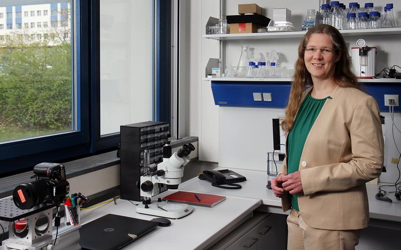 Juniorprofessorin Clarissa Schönecker leitet das Fachgebiet Mikrofluidmechanik an der TU Kaiserslautern.